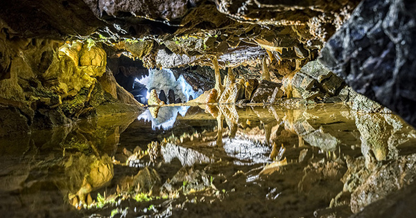 Cheddar Caves & Gorge