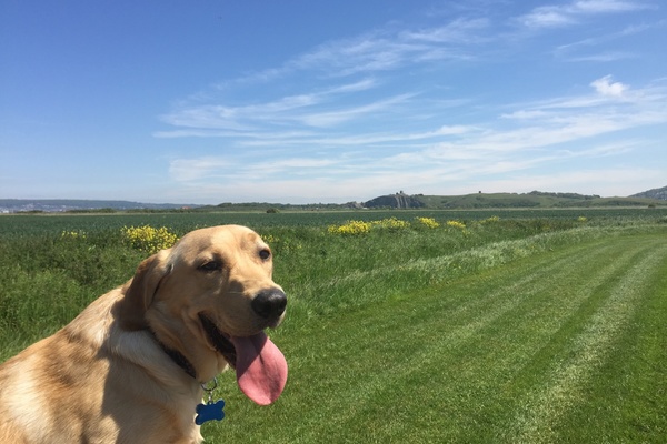 Farm Walk